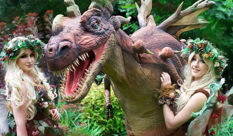 Dragon and Fairy Act