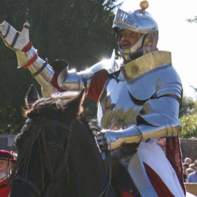 Medieval Jousting
